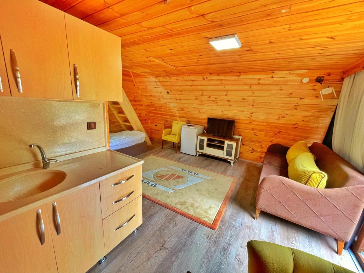 The Wooden House Uzungoel 乌宗 外观 照片