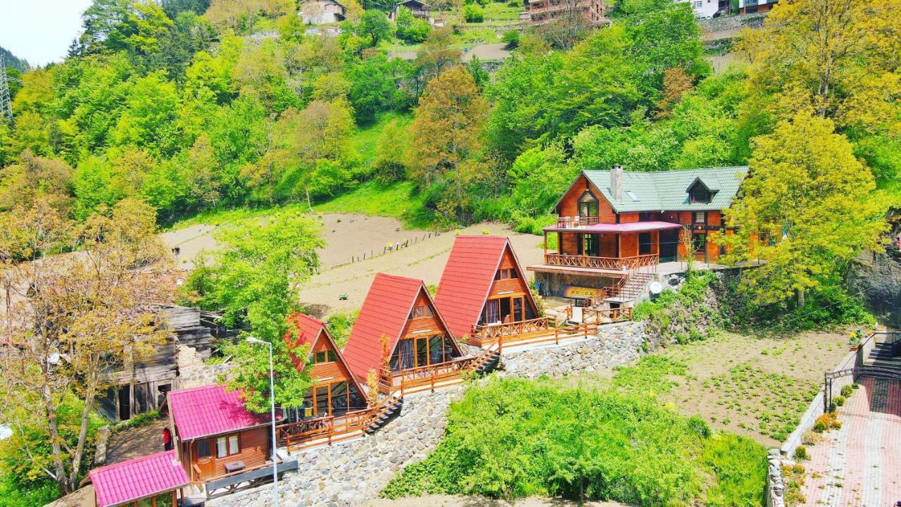 The Wooden House Uzungoel 乌宗 外观 照片