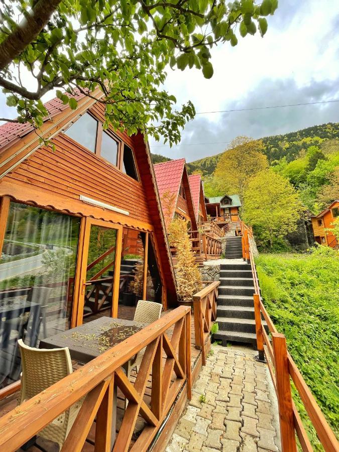 The Wooden House Uzungoel 乌宗 外观 照片