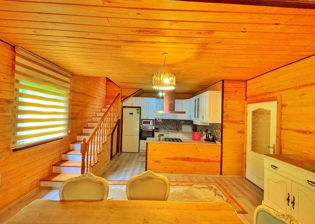 The Wooden House Uzungoel 乌宗 外观 照片