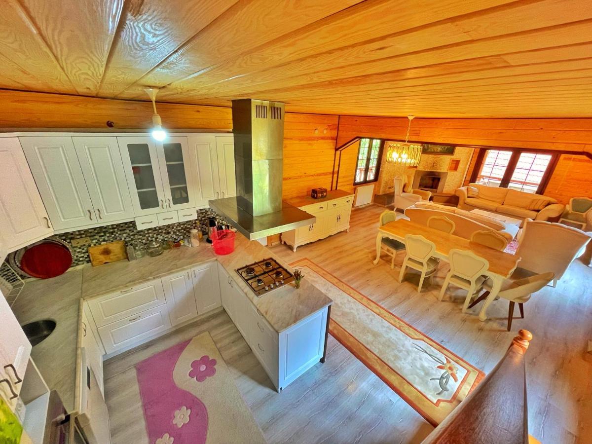 The Wooden House Uzungoel 乌宗 外观 照片