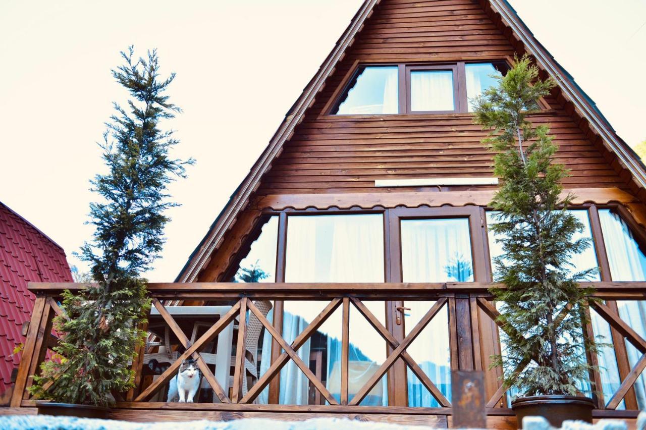The Wooden House Uzungoel 乌宗 外观 照片